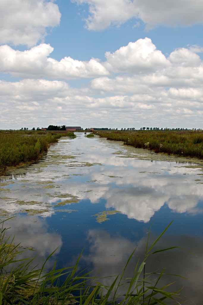 tiengemeten natuur natuurgebied natuurmonumenten hdr schotse hooglanders rien poortvliet museum eiland polder platteland